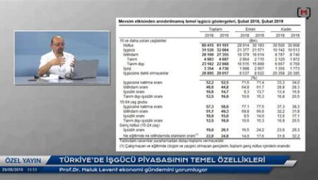 Türkiye’de Meslek Eğitimi ve İşgücü Piyasası İlişkisi